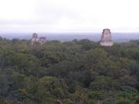 7839 Tikal